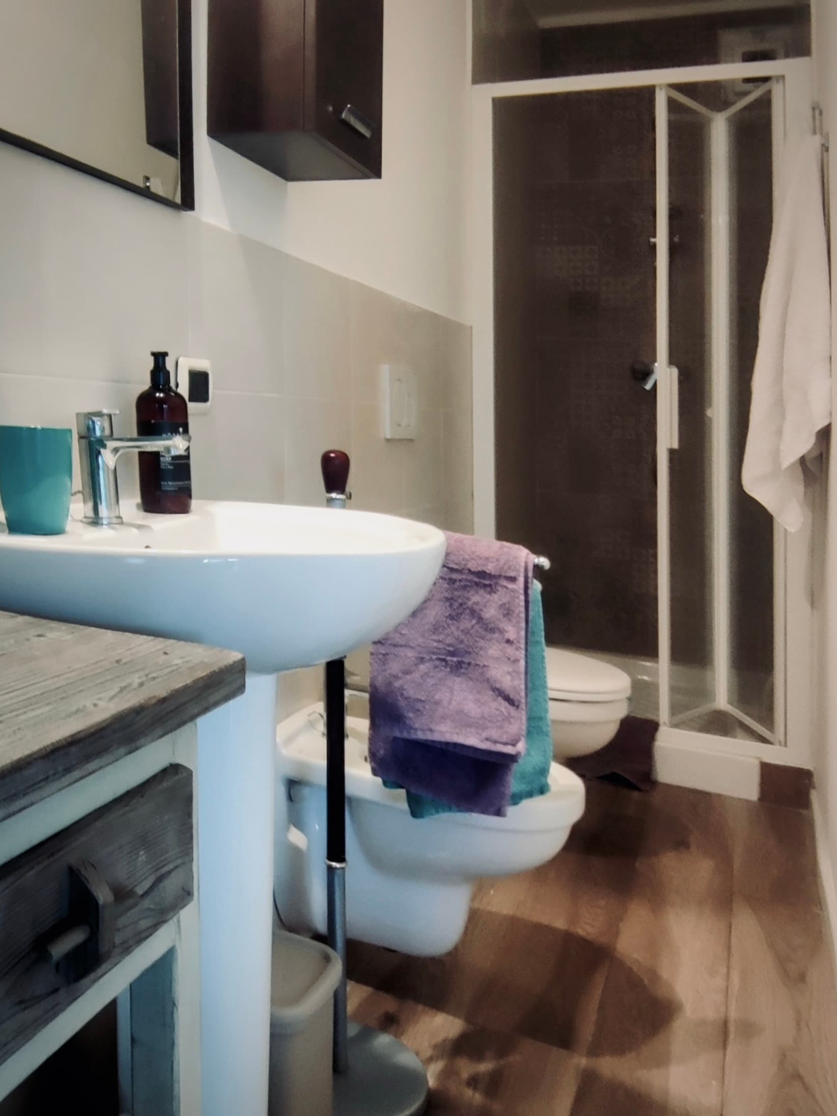 The bathroom with its basin, toilet and shower