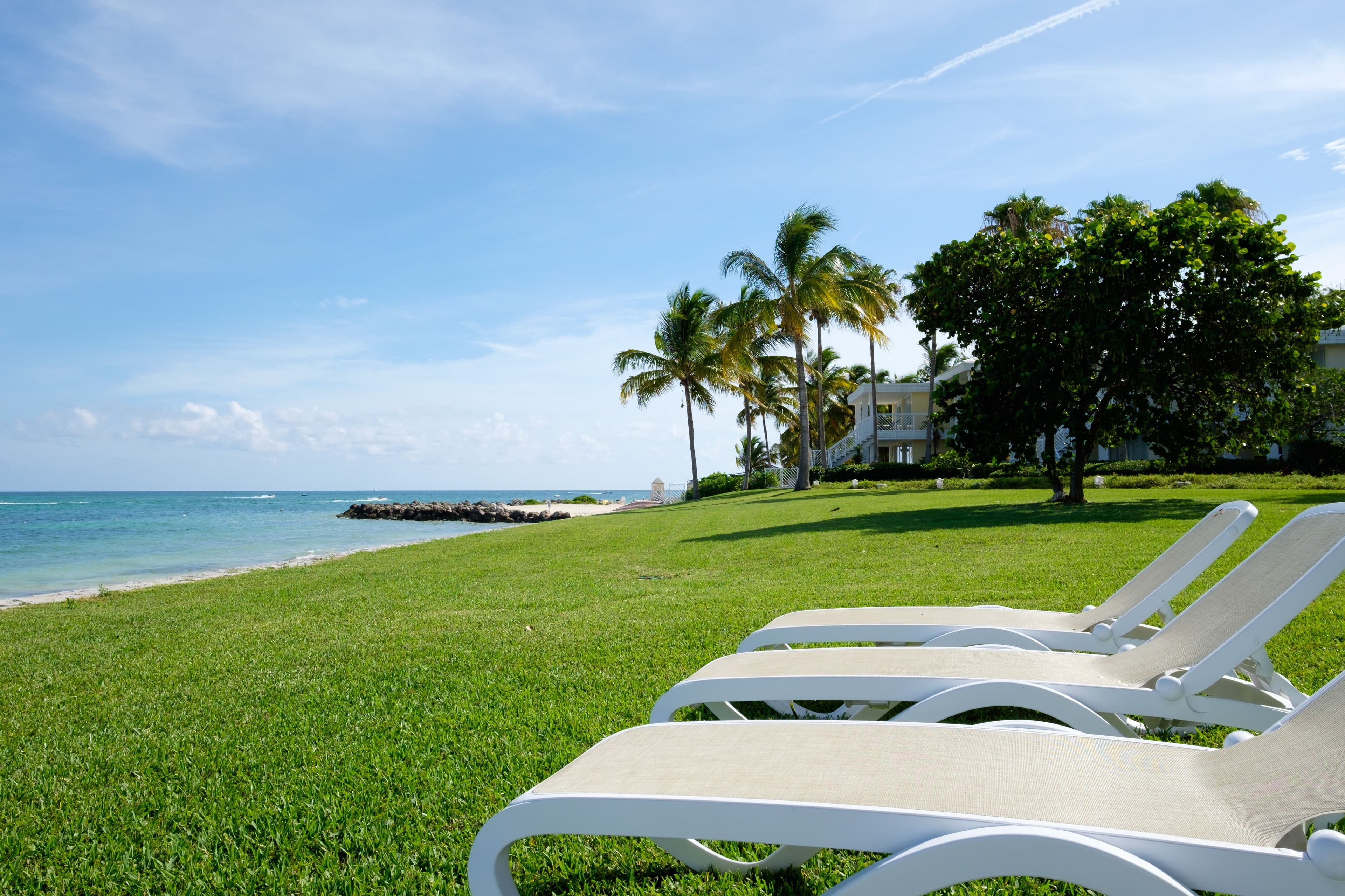 Sun loungers on a lawn beside open water